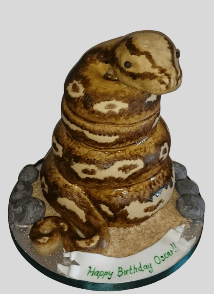 Nice Snake Cake