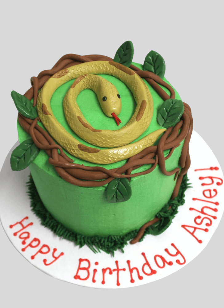 Pleasing Snake Cake