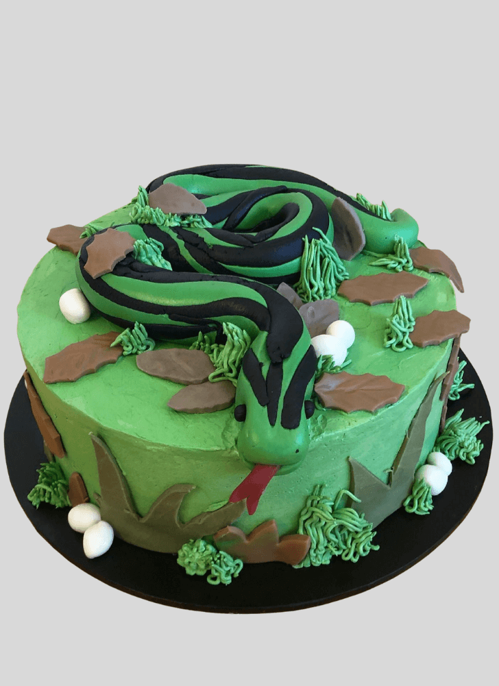 Pretty Snake Cake