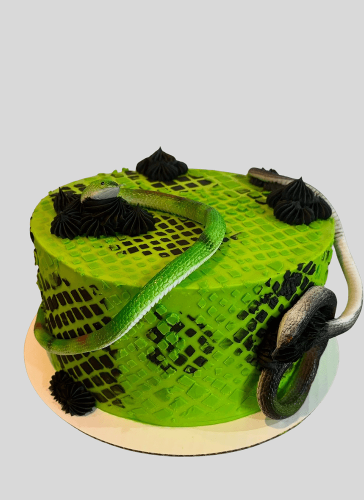 Resplendent Snake Cake