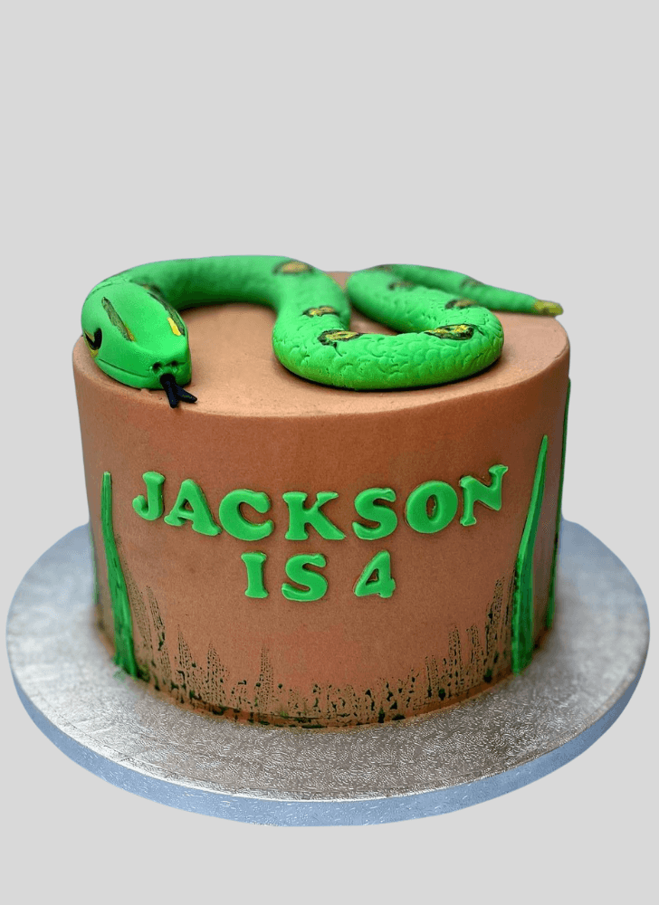 Slightly Snake Cake