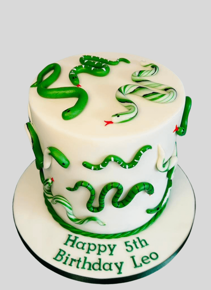 Stunning Snake Cake