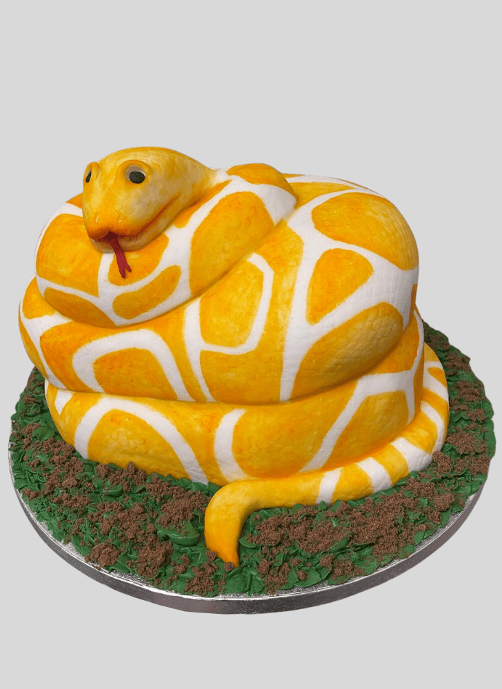Superb Snake Cake