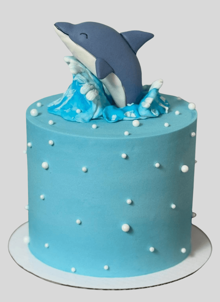 Handsome Dolphin Cake