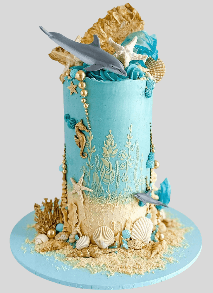 Magnetic Dolphin Cake