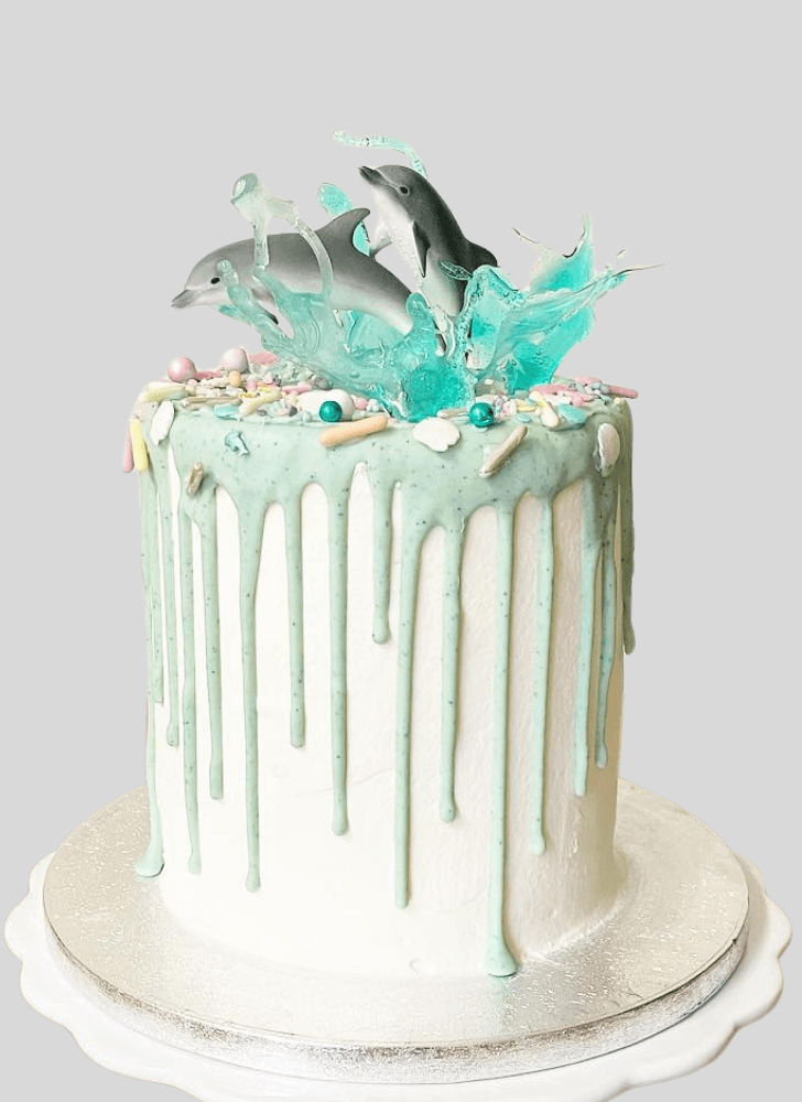 Radiant Dolphin Cake