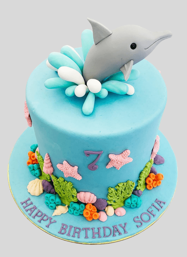 Superb Dolphin Cake