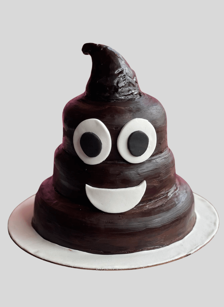 Beauteous Poop Cake