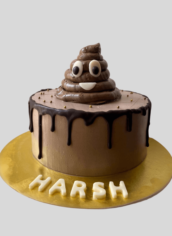 Comely Poop Cake