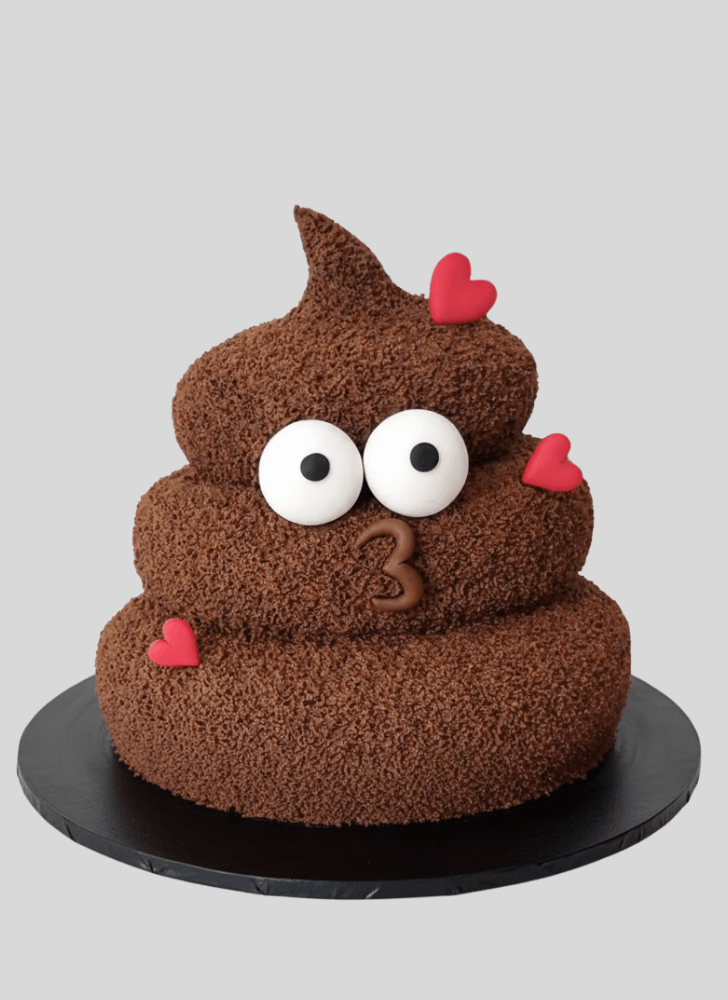 Fair Poop Cake
