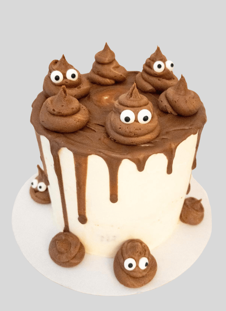 Lovely Poop Cake Design