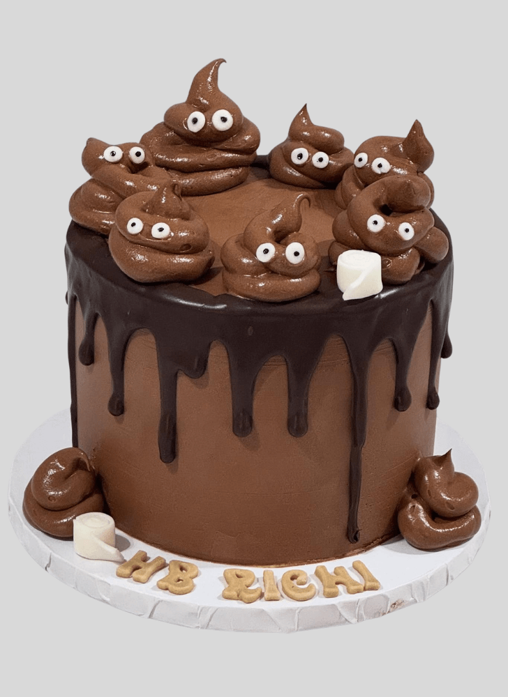 Ravishing Poop Cake