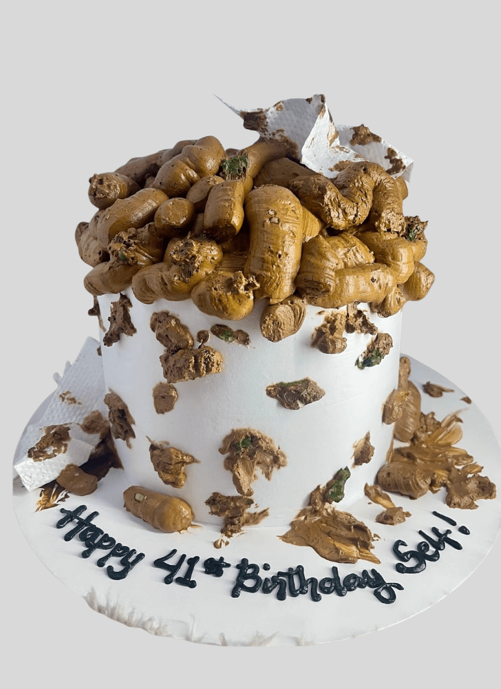 Resplendent Poop Cake