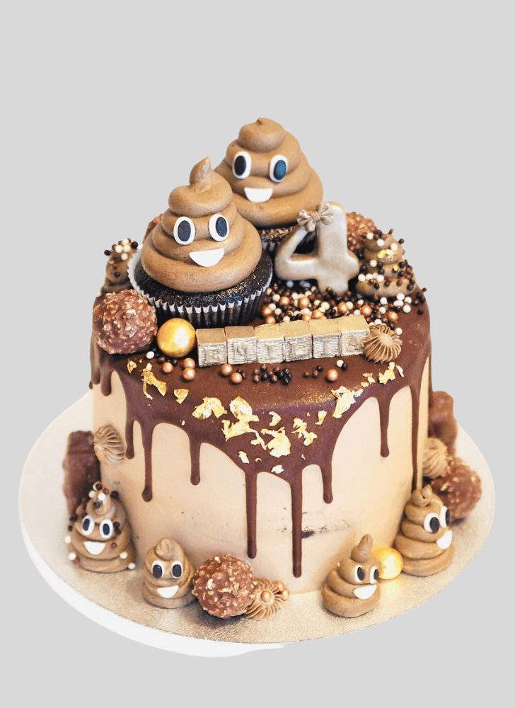 Slightly Poop Cake