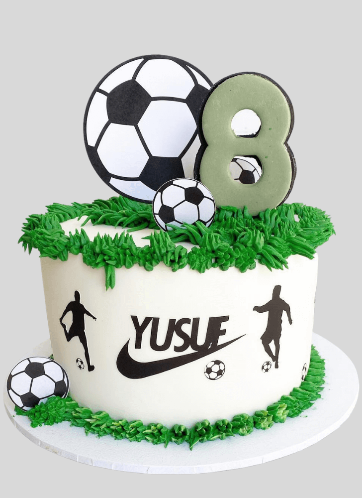 Fetching Soccer Cake