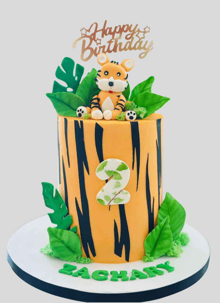 Magnetic Tiger Cake