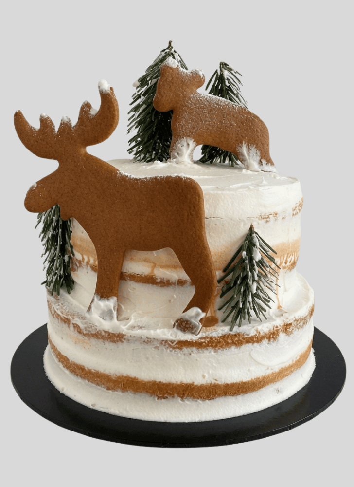 Fascinating Vanilla Cake