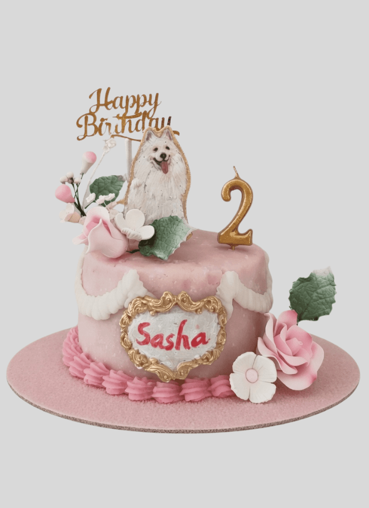 Admirable Dog Cake Design