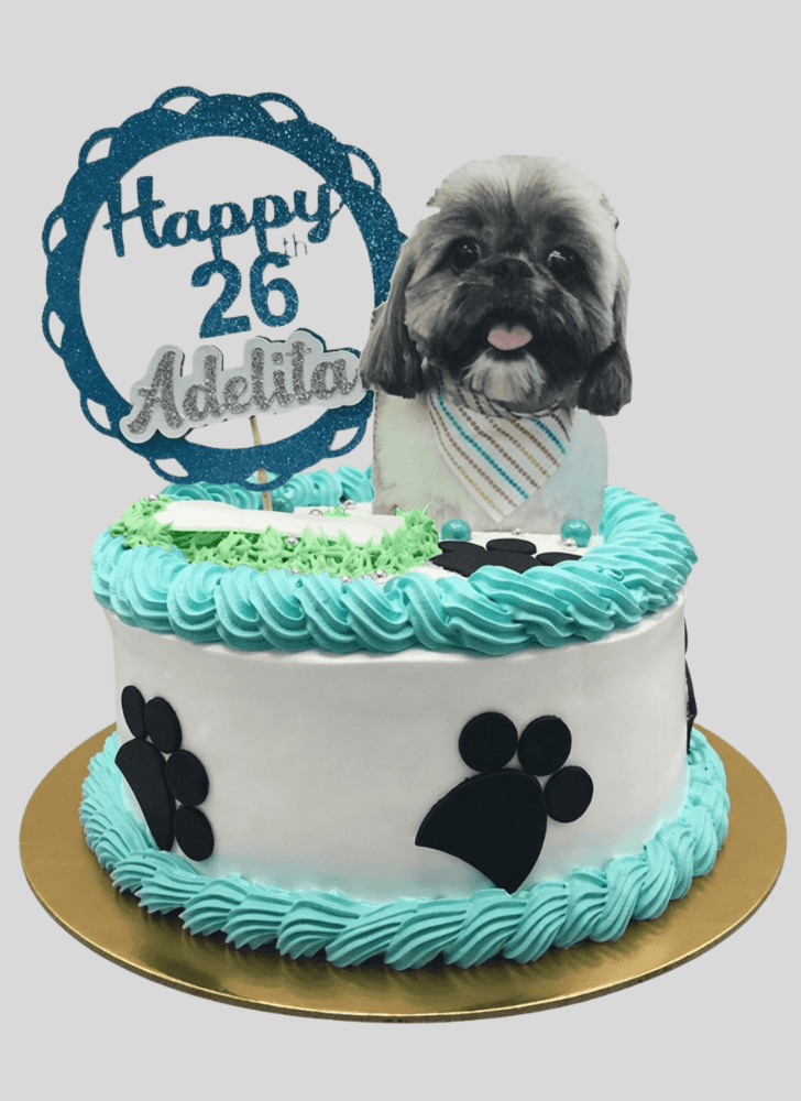Bewitching Dog Cake