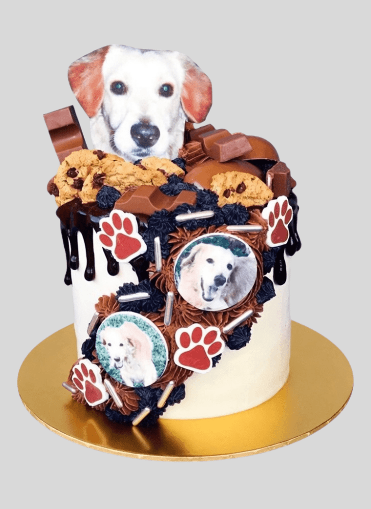 Charming Dog Cake