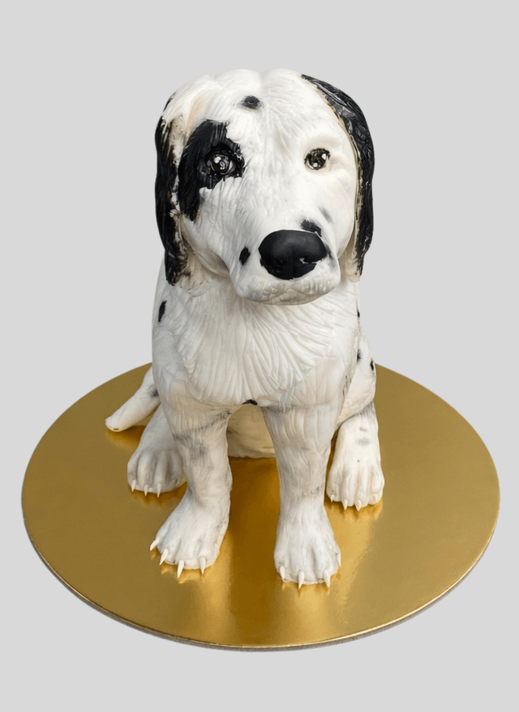 Classy Dog Cake
