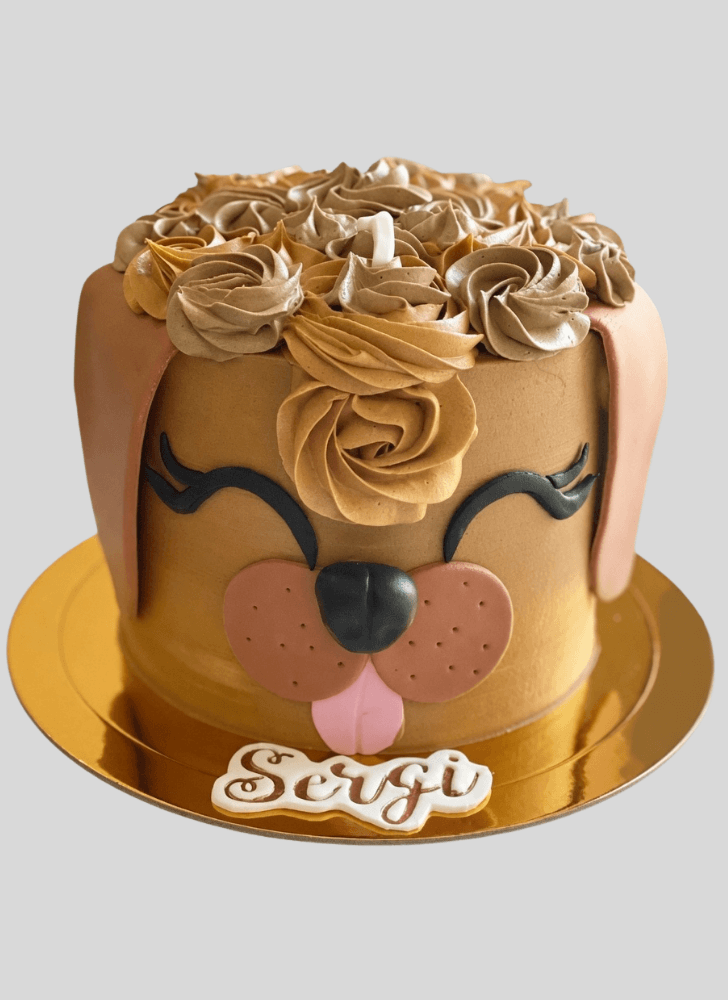 Comely Dog Cake