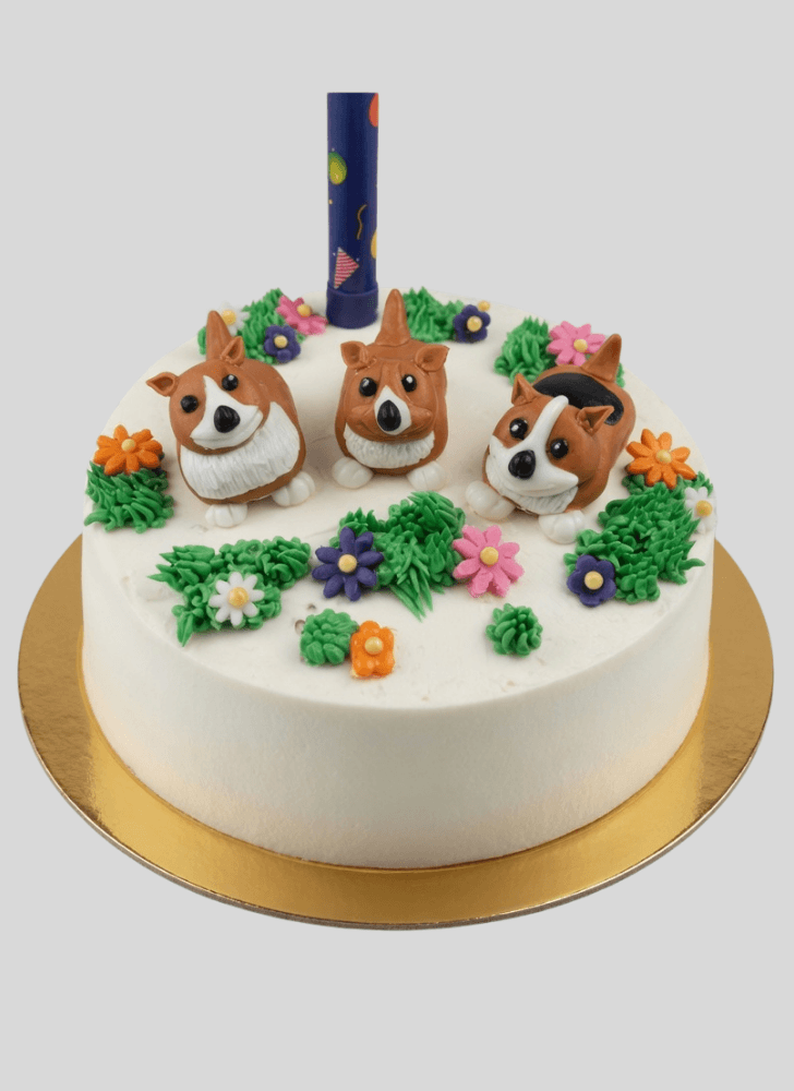Cute Dog Cake
