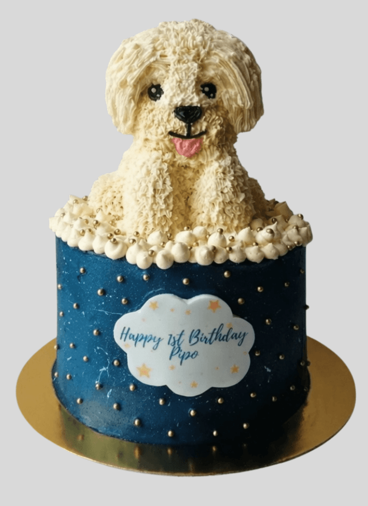 Enticing Dog Cake