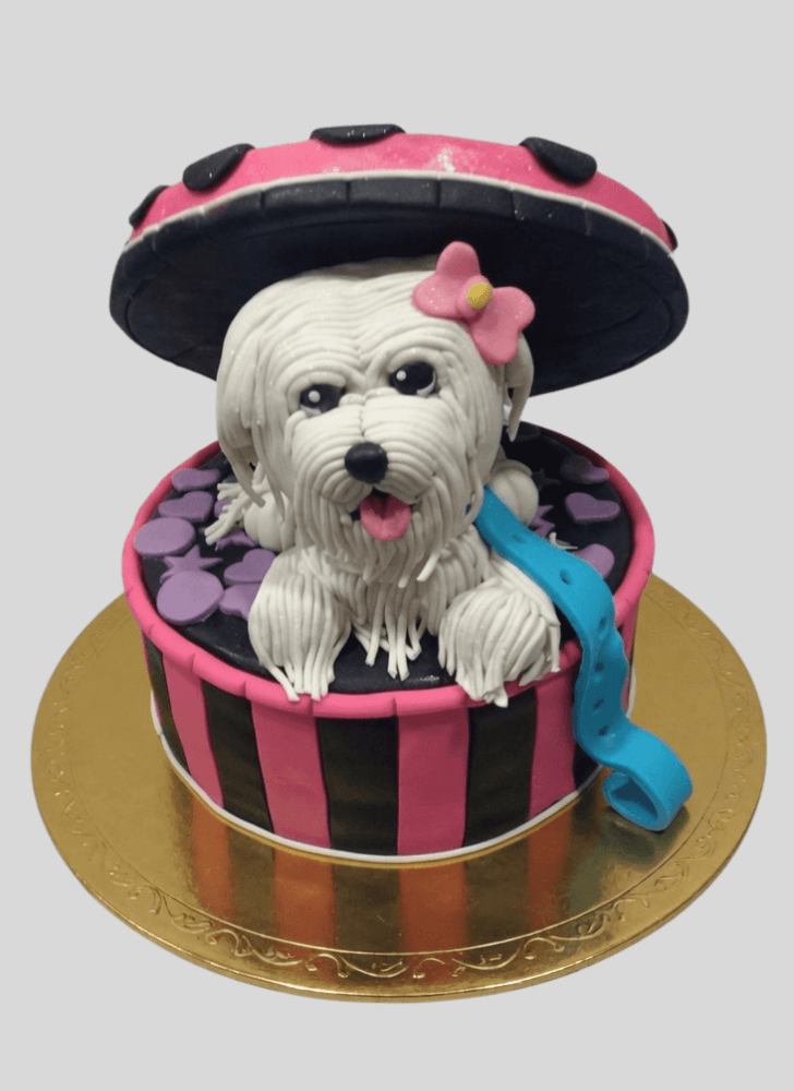 Fair Dog Cake