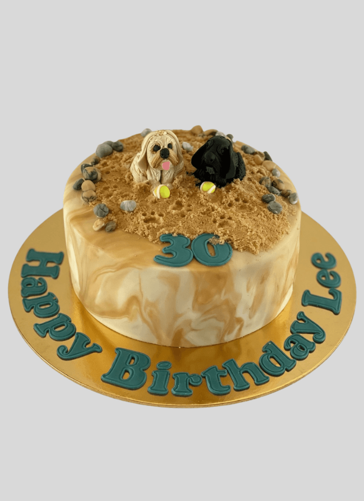 Fetching Dog Cake