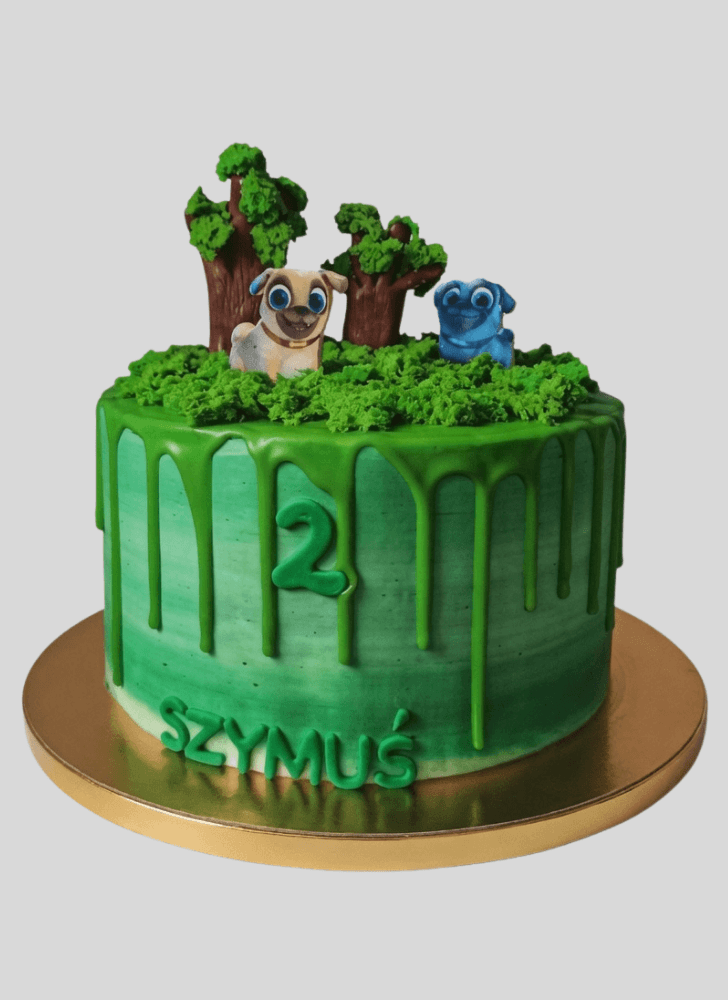 Good Looking Dog Cake