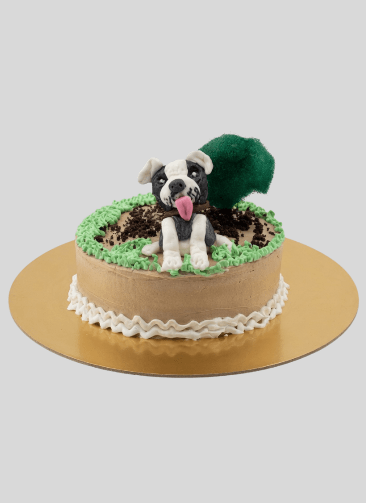 Grand Dog Cake
