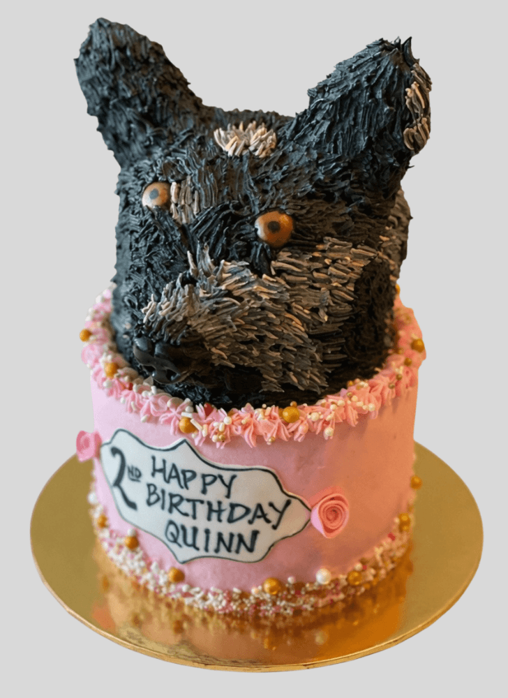 Handsome Dog Cake