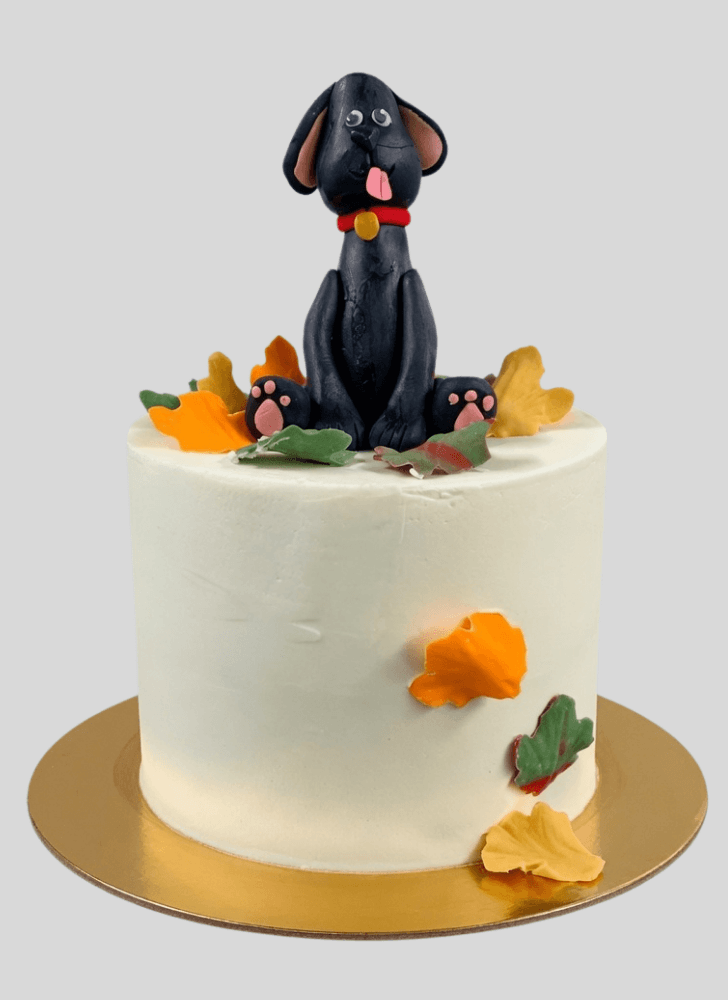 Inviting Dog Cake