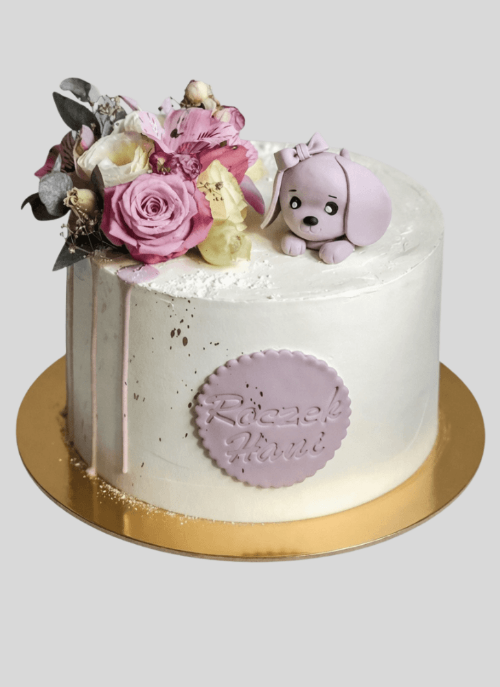 Magnetic Dog Cake