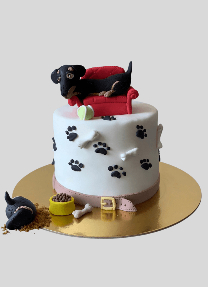 Mesmeric Dog Cake