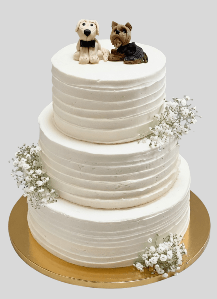 Radiant Dog Cake
