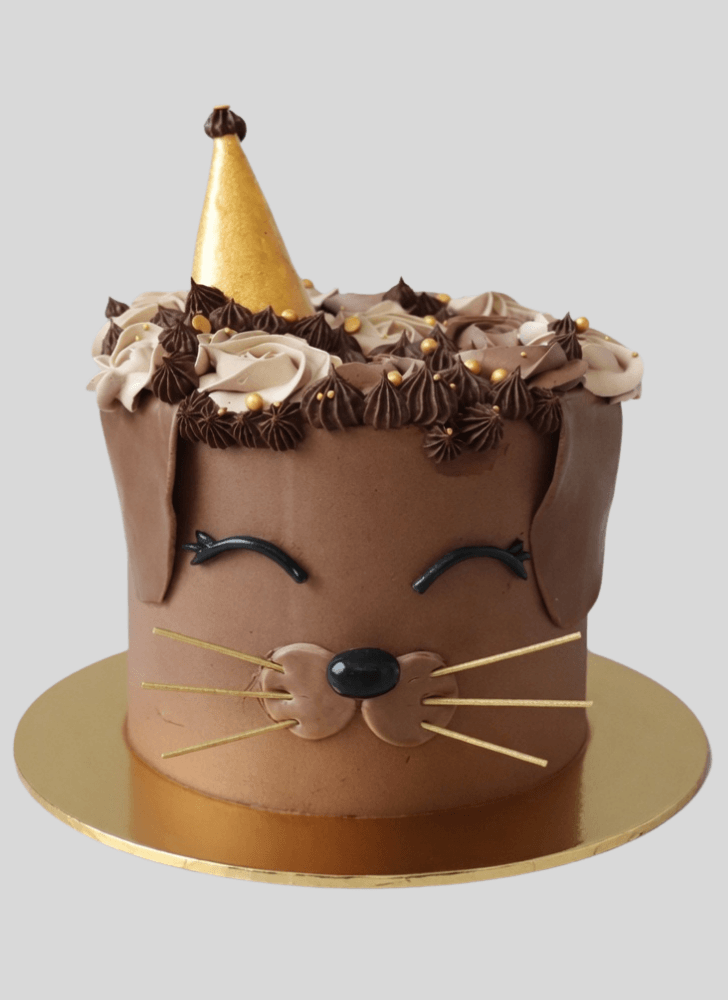 Resplendent Dog Cake