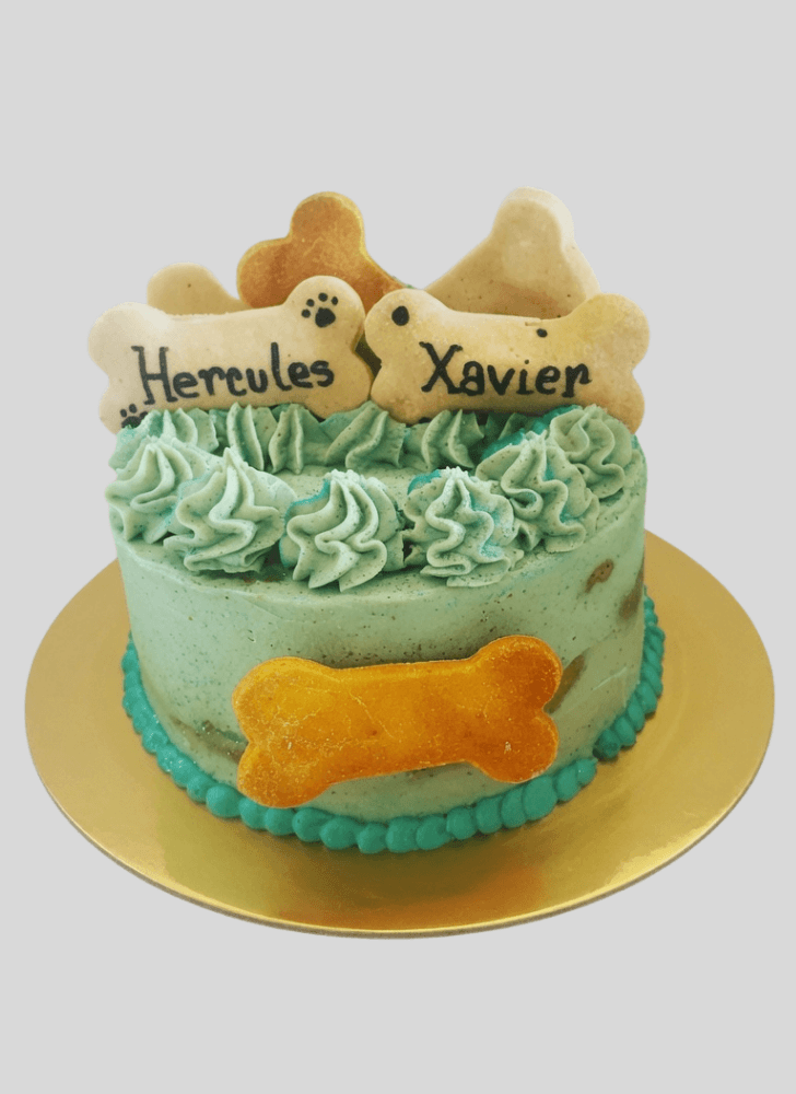 Slightly Dog Cake
