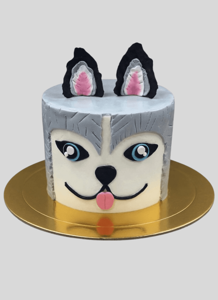 Splendid Dog Cake