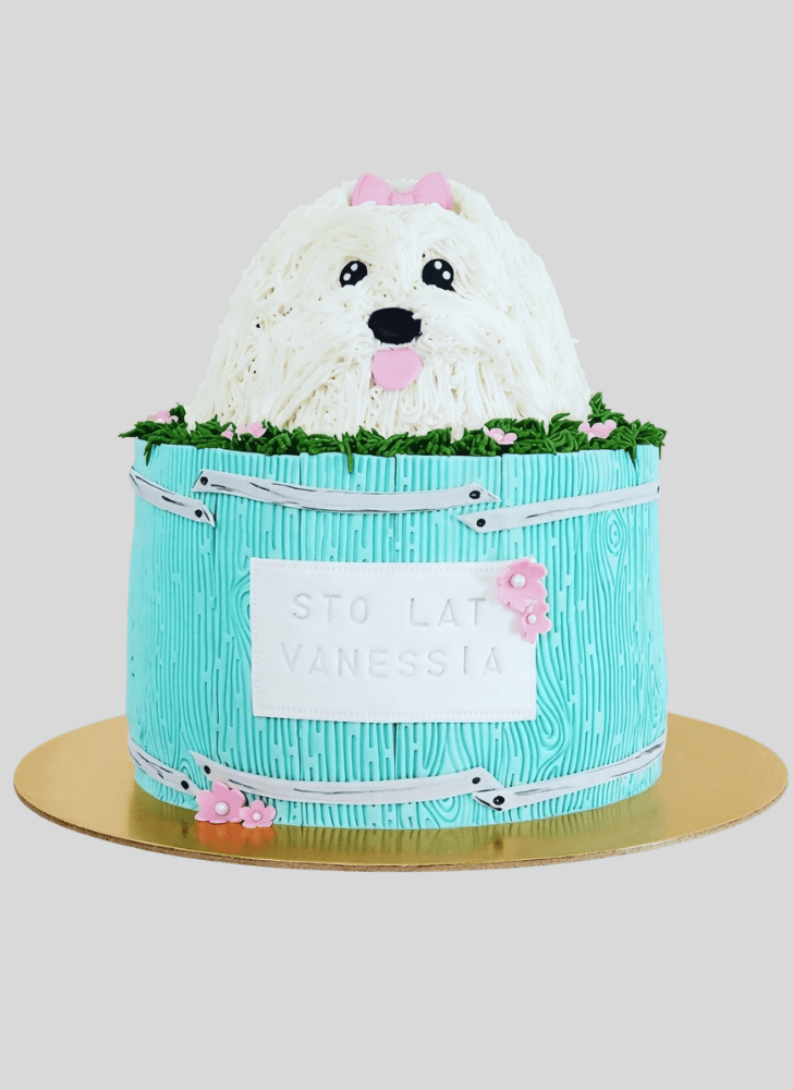 Wonderful Dog Cake Design