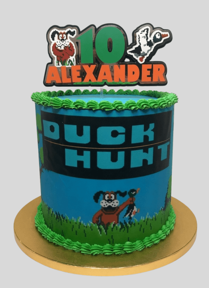 Admirable Duck Hunt Cake Design