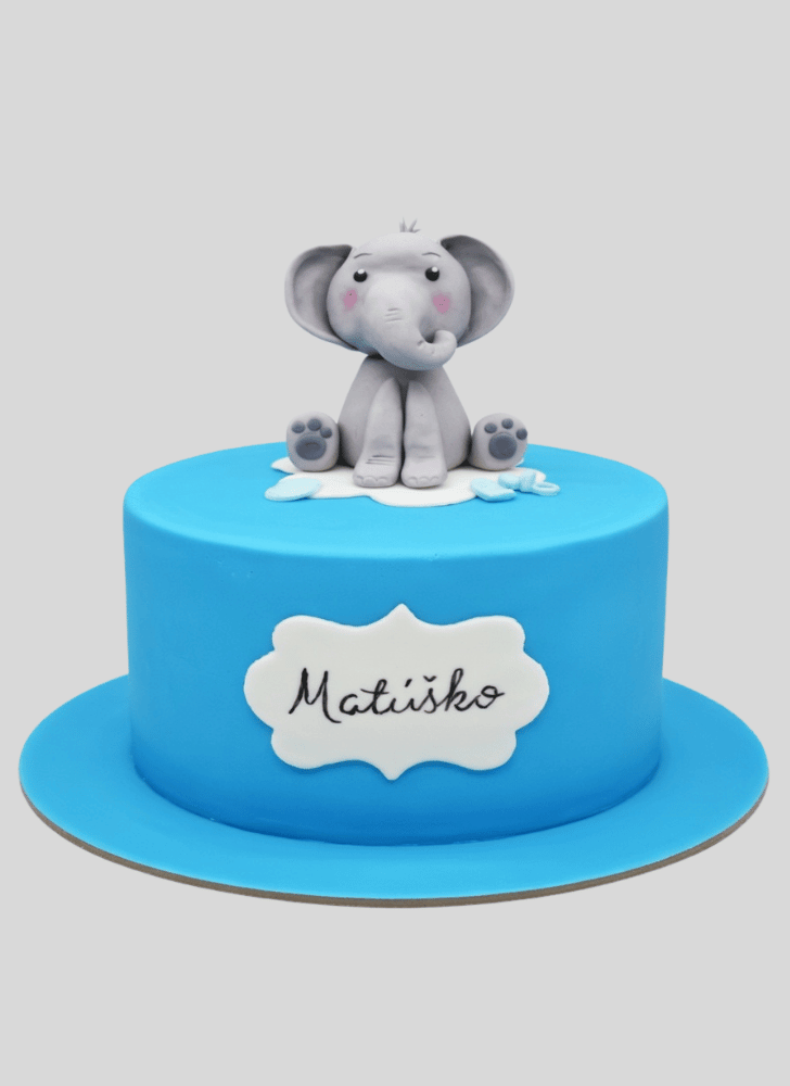 Marvelous Fondant Cake