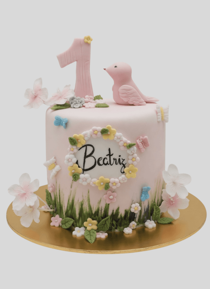 Fine Bird Cake