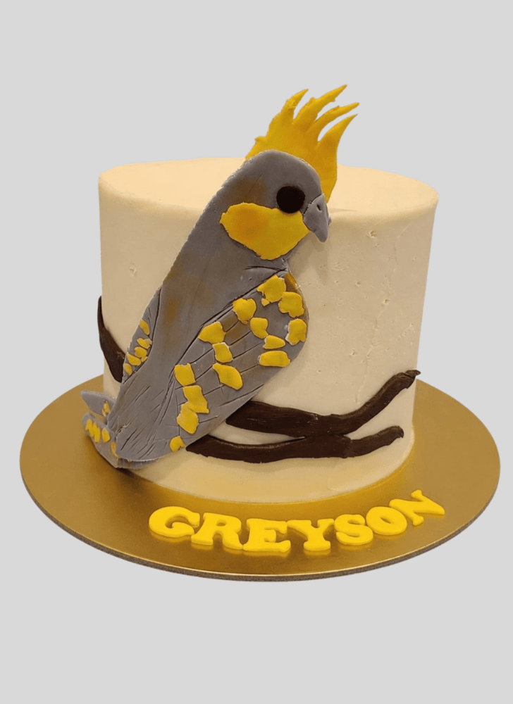 Handsome Bird Cake