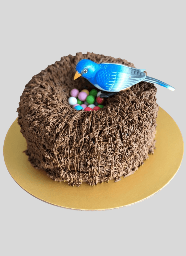 Resplendent Bird Cake