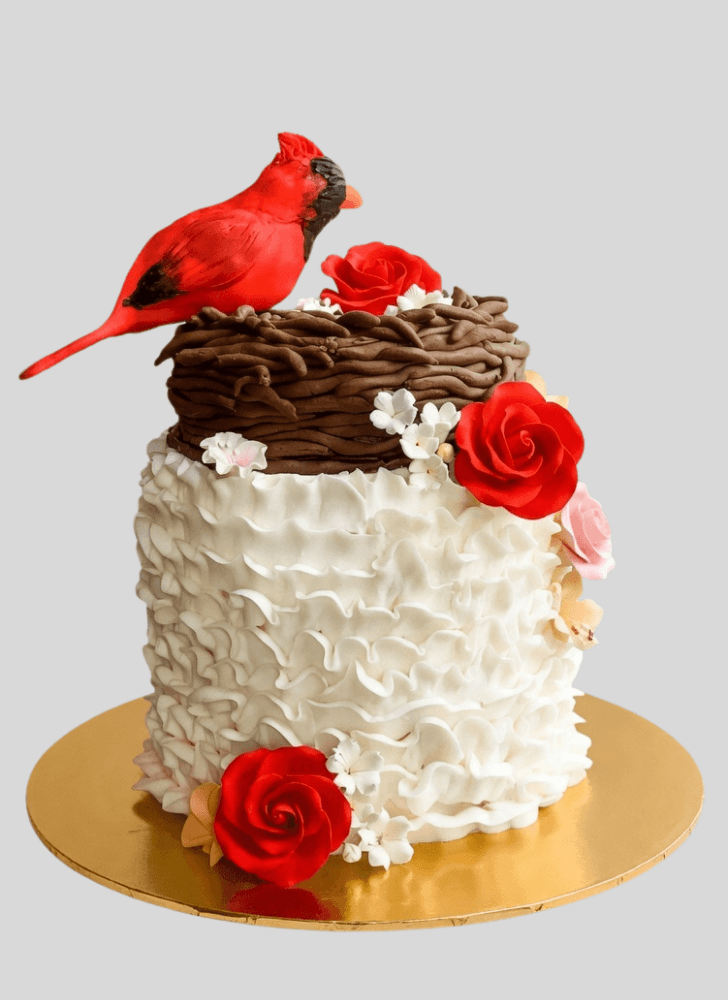 Splendid Bird Cake