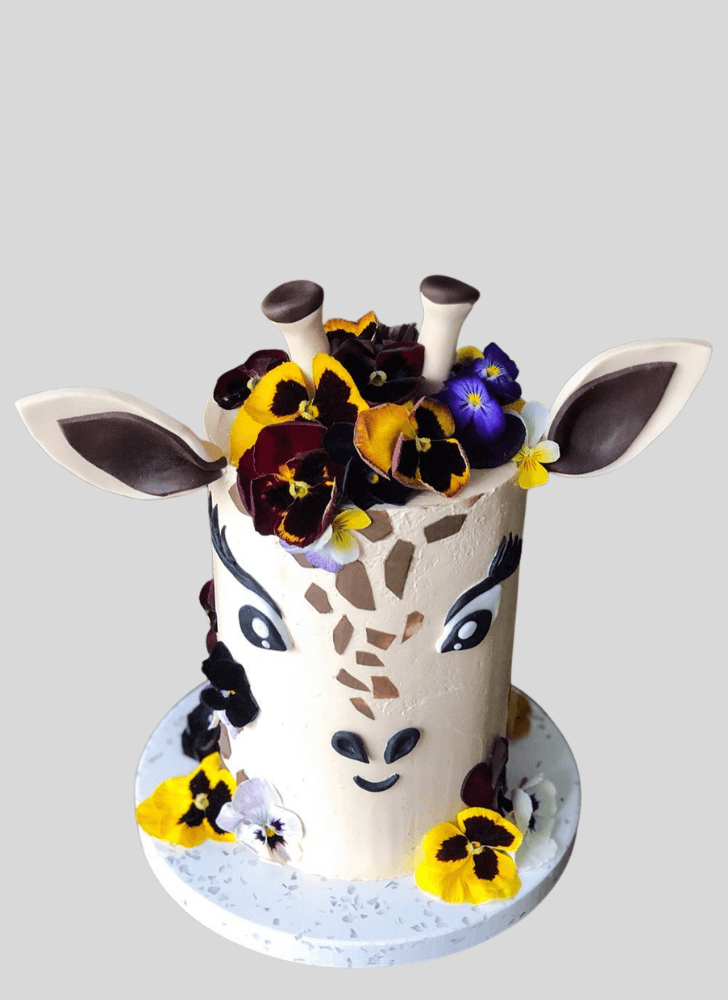 Magnetic Giraffe Cake