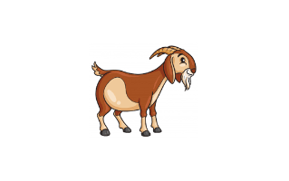 Goat