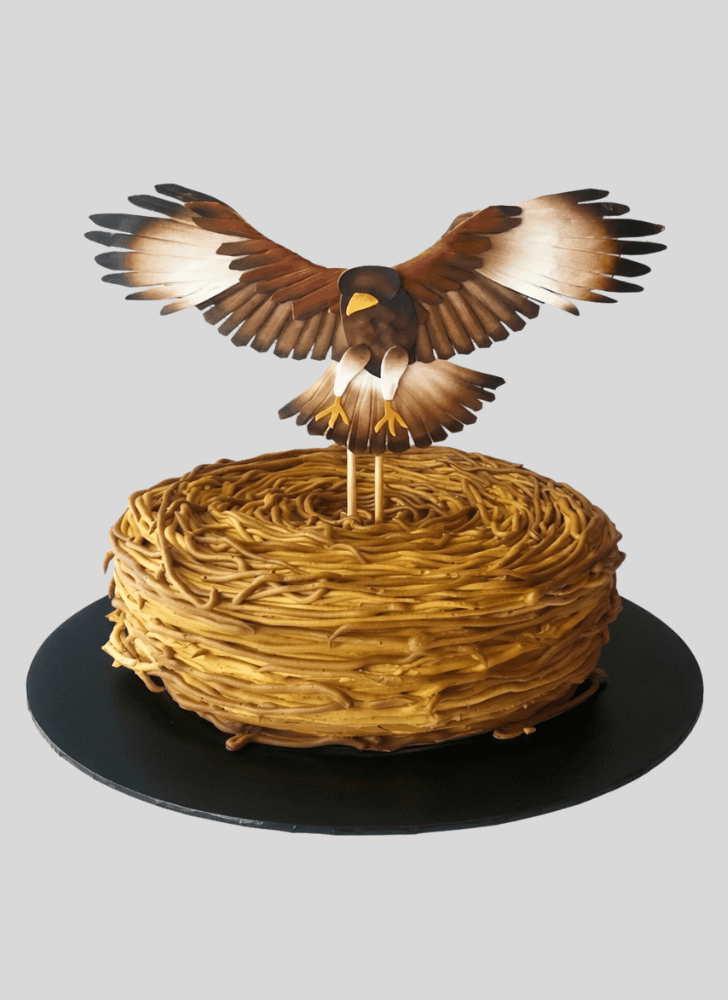 Beauteous Hawk Cake